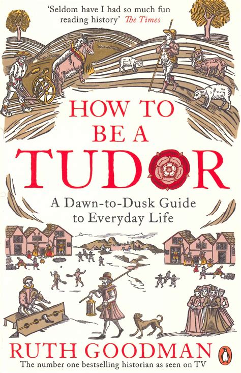 how to be a tudor book.